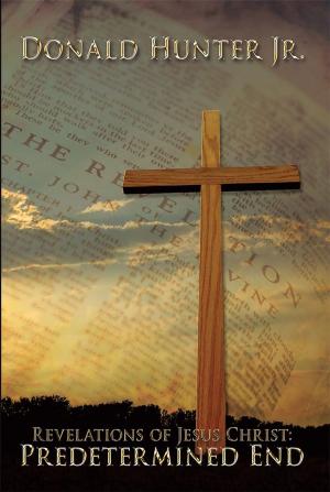 Cover of the book Revelations of Jesus Christ: Predetermined End by Cheri Huber, Ashwini Narayanan
