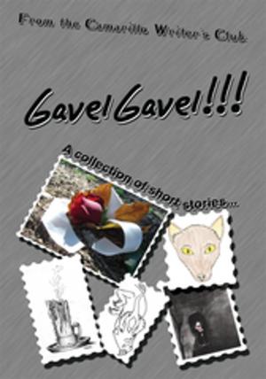 Cover of the book Gavelgavel!!! by Jonathan Michael Erickson