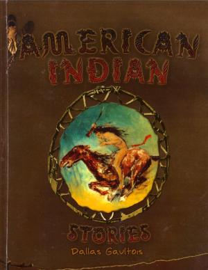 bigCover of the book American Indian Stories by 