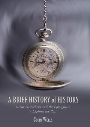Book cover of A Brief History of History