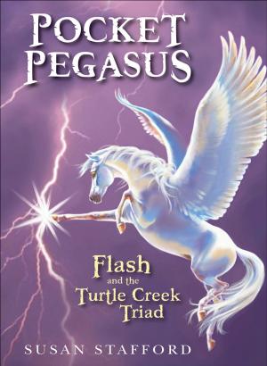 Cover of the book Pocket Pegasus by Michelle Butler Hallett