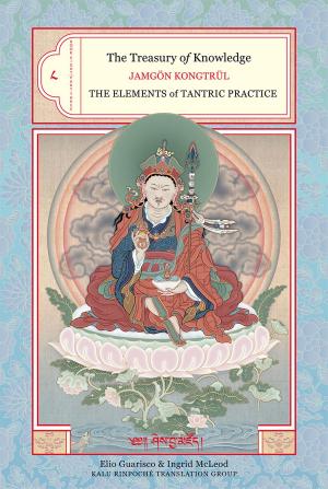 Cover of the book The Treasury of Knowledge: Book Eight, Part Three by Daniel Goleman, The Dalai Lama