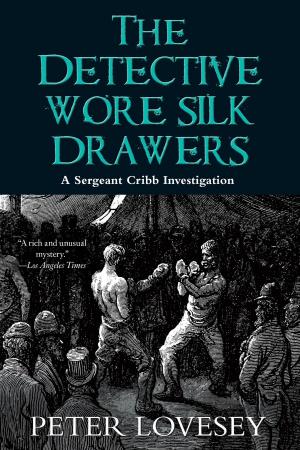 Book cover of The Detective Wore Silk Drawers