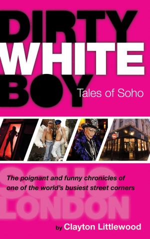 Book cover of Dirty White Boy