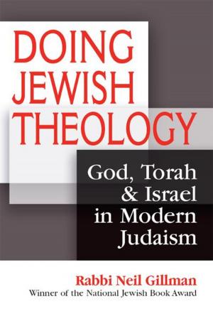 Book cover of Doing Jewish Theology: God, Torah & Israel in Modern Judaism