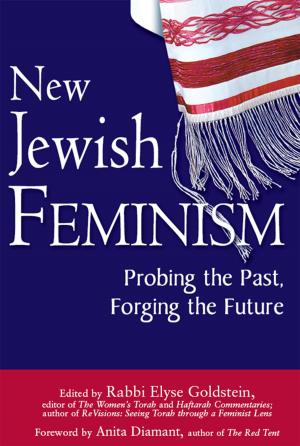 Cover of the book New Jewish Feminism: Probing the Past, Forging the Future by Rabbi Kerry M.Olitzky