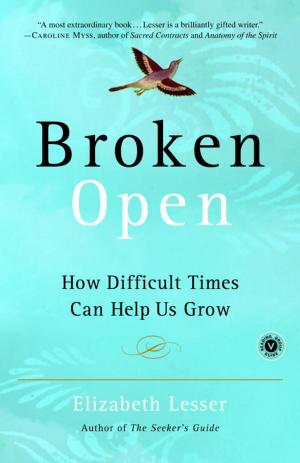 Cover of the book Broken Open by Daniel Holzman, Michael Chernow, Lauren Deen