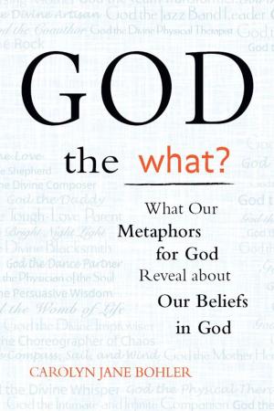 Cover of the book God the What?: What Our Metaphors for God Reveal About Our Beliefs in God by Rabbi Rami Shapiro