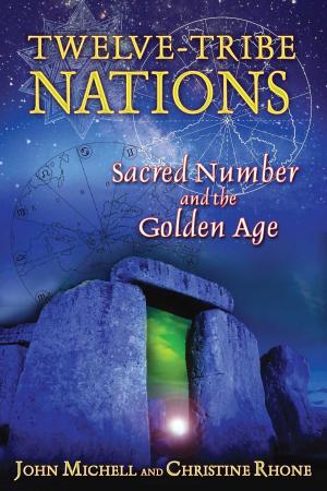 Cover of the book Twelve-Tribe Nations by Ingo Swann