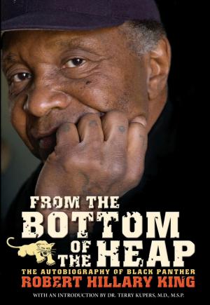 Cover of the book From the Bottom of the Heap by Barry Graham