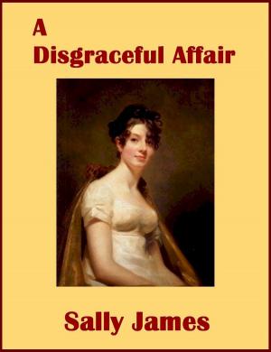Cover of the book A Disgraceful Affair by Nina Coombs Pykare