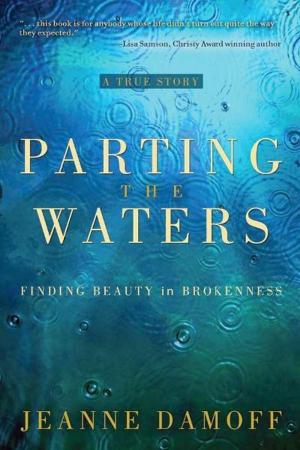Cover of the book Parting the Waters by Shad Helmstetter