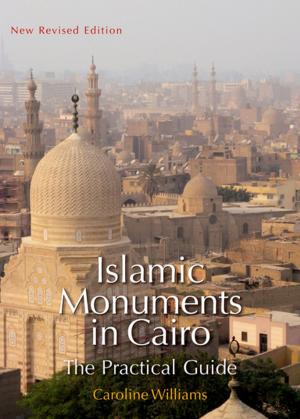 Book cover of Islamic Monuments in Cairo