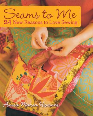 Cover of the book Seams to Me by Matt Biers-Ariel