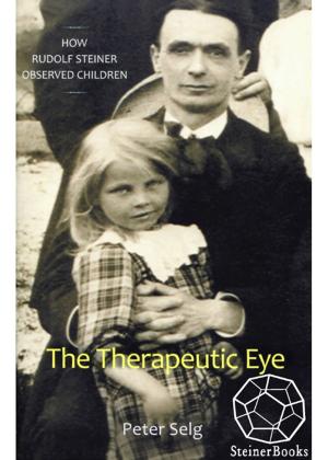 Cover of the book The Therapeutic Eye by Sharifa Oppenheimer, Stephanie Gross