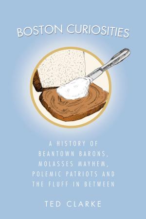 Cover of the book Boston Curiosities by Loren Rhoads