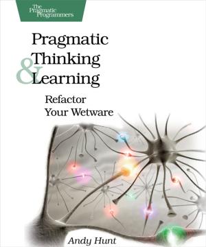 Cover of the book Pragmatic Thinking and Learning by David Scott Bernstein