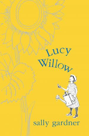 Book cover of Lucy Willow
