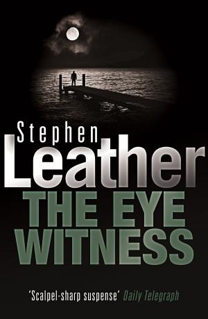 Cover of the book The Eyewitness by julie ann hough