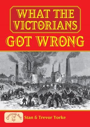 Cover of the book What the Victorians Got Wrong by Rupert Matthews