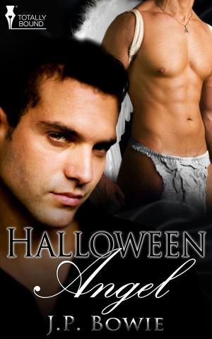 Cover of the book Halloween Angel by L.M. Somerton