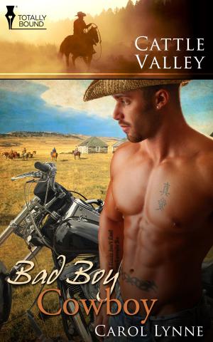 Book cover of Bad Boy Cowboy