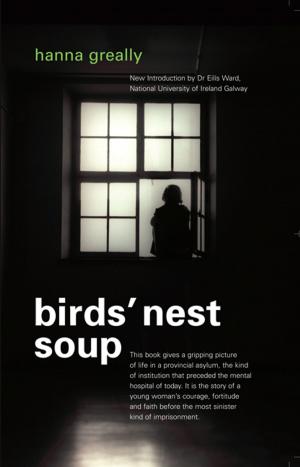 Cover of the book Bird's Nest Soup: Locked-up in an Irish Psychiatric Hospital by Desmond MacHale, Yvonne Cohen