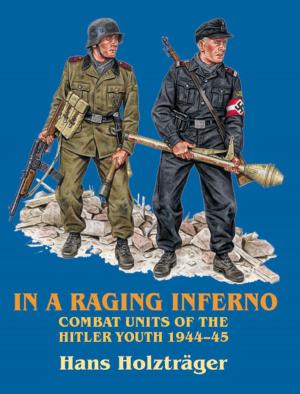 Cover of In a Raging Inferno