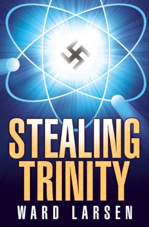 Cover of the book Stealing Trinity by R. G. Belsky