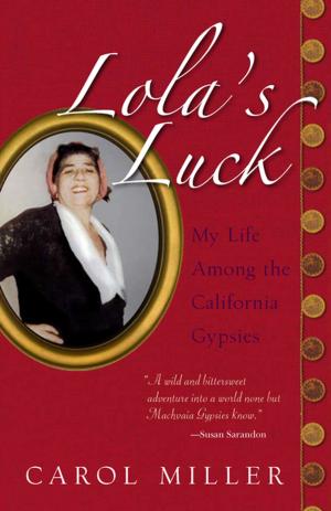 Book cover of Lola's Luck