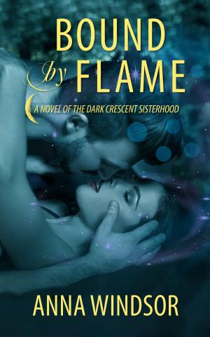 Cover of the book Bound by Flame by Tamar Myers