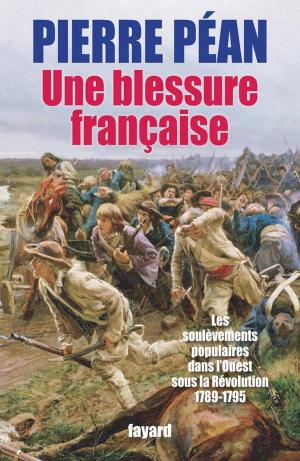 Cover of the book Une blessure française by Ariane Chemin, Vanessa Schneider