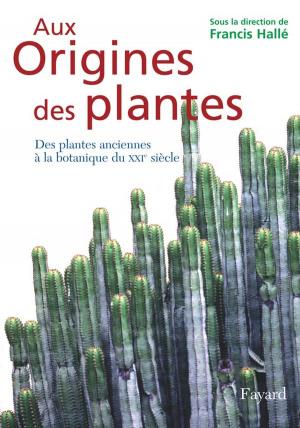 Cover of the book Aux origines des plantes, tome 1 by Jean-Christophe Notin