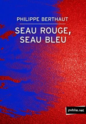 Cover of the book Seau rouge, seau bleu by Mahigan Lepage