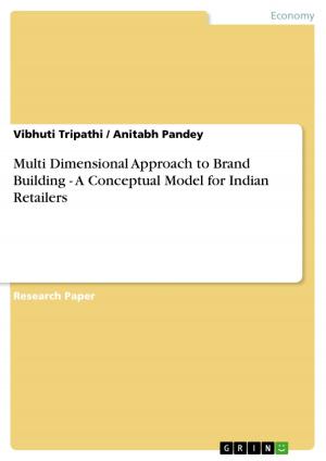Cover of the book Multi Dimensional Approach to Brand Building - A Conceptual Model for Indian Retailers by Counsel Mayabi
