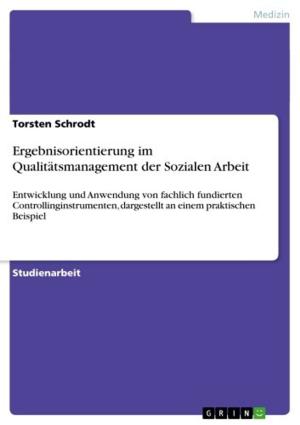 Cover of the book Ergebnisorientierung im Qualitätsmanagement der Sozialen Arbeit by Vladan Aleksic