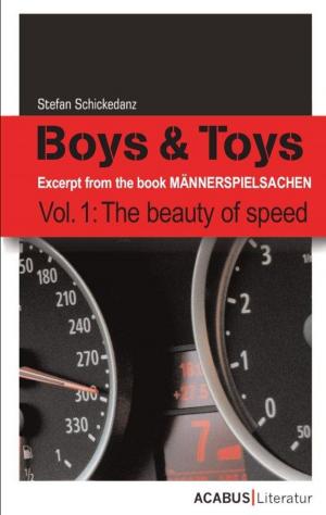 Cover of the book Männerspielsachen by Robert Focken