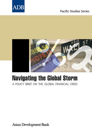 Book cover of Navigating the Global Storm