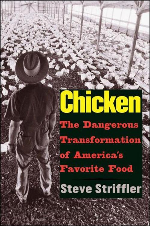 Cover of the book Chicken: The Dangerous Transformation of America's Favorite Food by Steve Striffler, Yale University Press