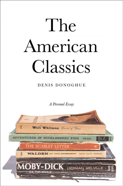 Cover of the book The American Classics by Professor Denis Donoghue, Yale University Press
