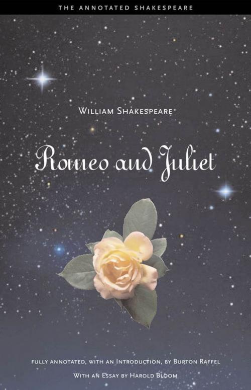 Cover of the book Romeo and Juliet by William Shakespeare, Harold Bloom, Yale University Press