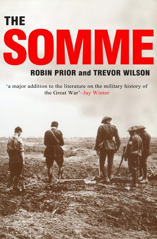 Cover of the book The Somme by Prof. Robin Prior, Professor Trevor Wilson, Yale University Press