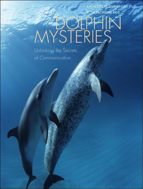 Cover of the book Dolphin Mysteries: Unlocking the Secrets of Communication by Kathleen M. Dudzinski, Toni Frohoff, Marc Bekoff, Yale University Press