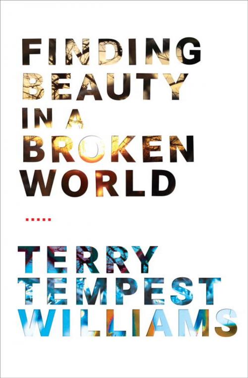 Cover of the book Finding Beauty in a Broken World by Terry Tempest Williams, Knopf Doubleday Publishing Group