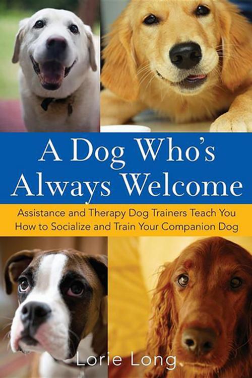 Cover of the book A Dog Who's Always Welcome by Lorie Long, Turner Publishing Co.