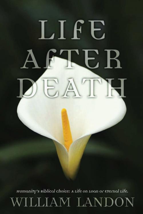 Cover of the book Life After Death by William Landon, iUniverse