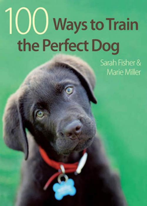 Cover of the book 100 Ways to Train the Perfect Dog by Sarah Fisher, Marie Miller, F+W Media