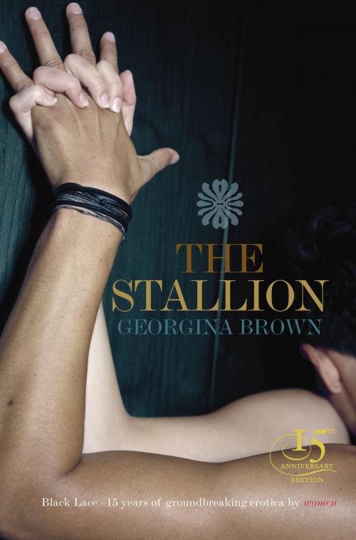 Cover of the book The Stallion by Georgina Brown, Ebury Publishing