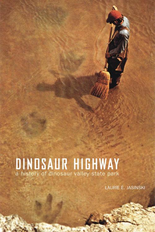 Cover of the book Dinosaur Highway by Laurie E. Jasinski, TCU Press