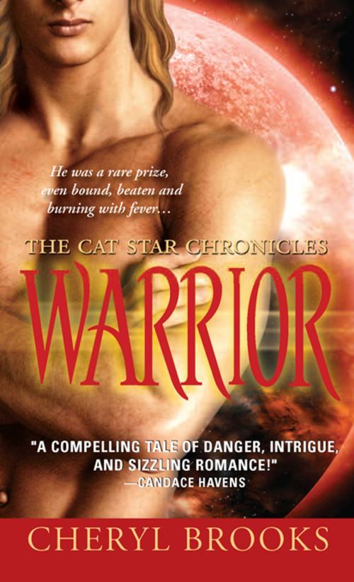 Cover of the book Warrior by Cheryl Brooks, Sourcebooks